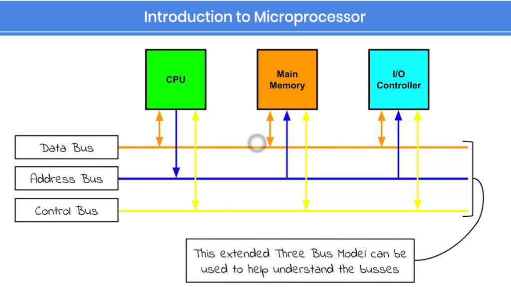 Microprocessor vs Microcontroller: Key Differences (2025)