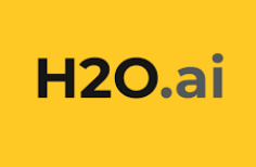 H2O Open Source AIML Platform: AI & ML