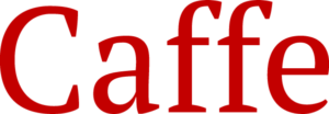 Caffe - Logic Fruit Technologies